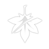 Kaedehara Kazuha C5 Wisdom of Bansei constellation icon